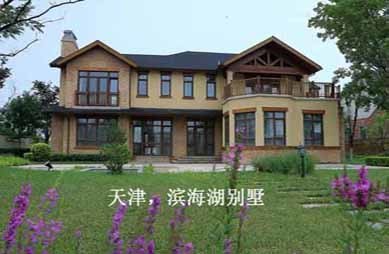 天津濱海湖別墅電梯